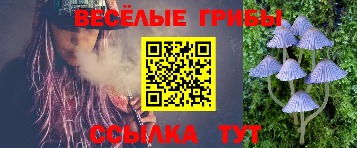 Псилоцибиновые грибы Magic Shrooms Корсаков